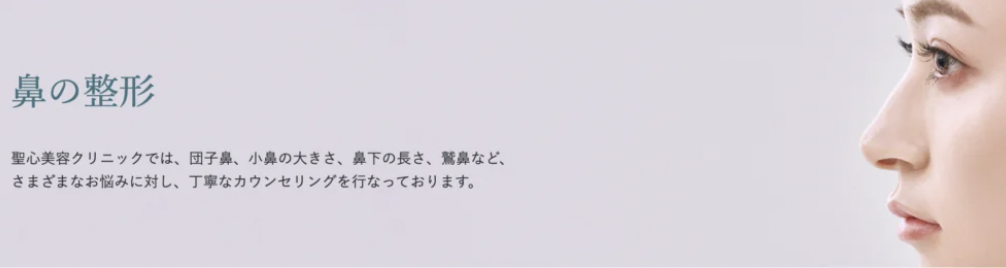聖心美容クリニック　名古屋　小鼻縮小ボトックス