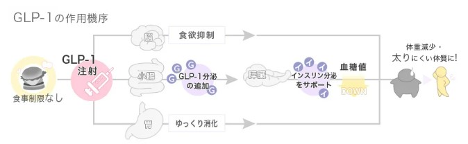 TBC東京中央美容外科　大阪　glpダイエット