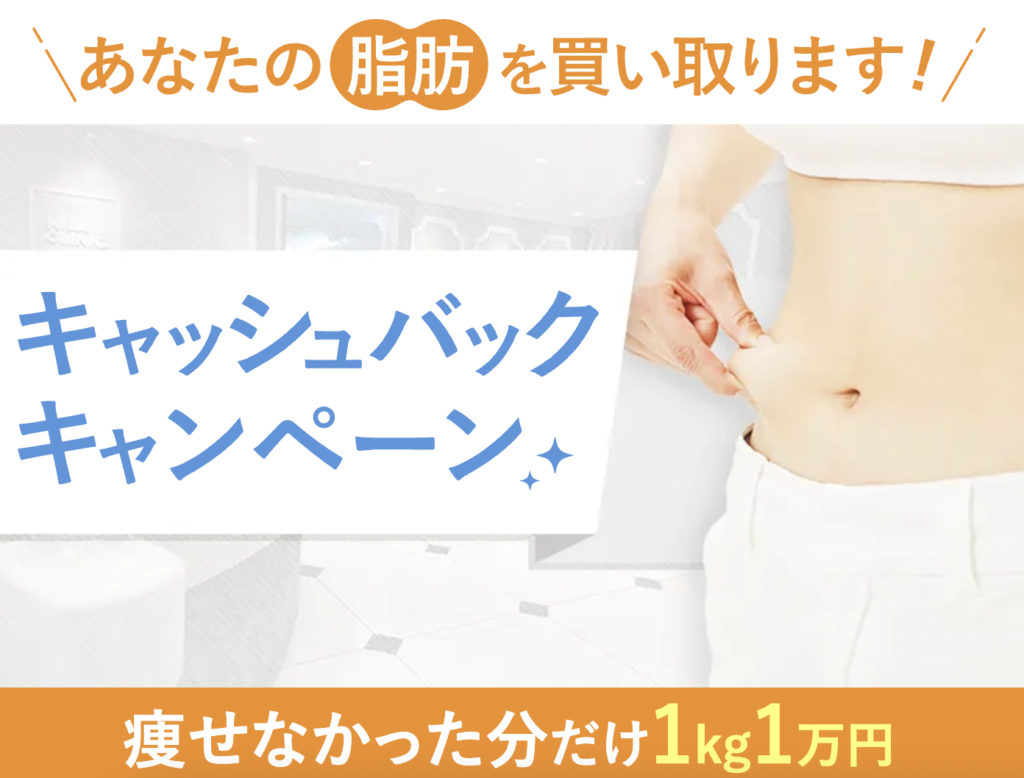 医療痩身ダイエット　おすすめ