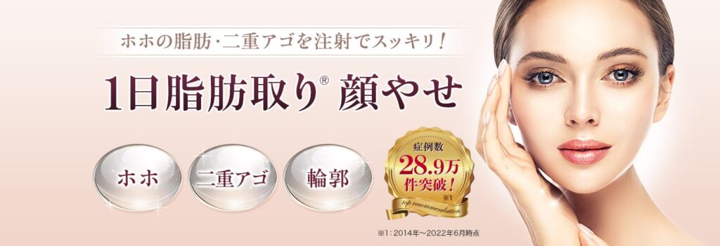 安い！】名古屋の脂肪溶解注射がおすすめのクリニック10選！脂肪溶解注射は効果ない？ | Beauty Park