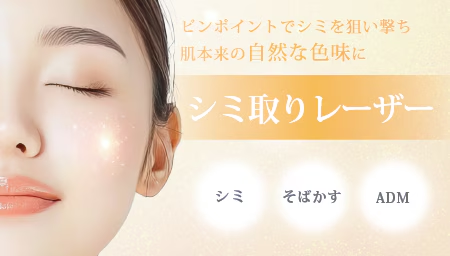 湘南 シミ取り