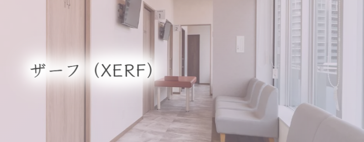 花小金井駅前スキンクリニック　XERF（ザーフ）