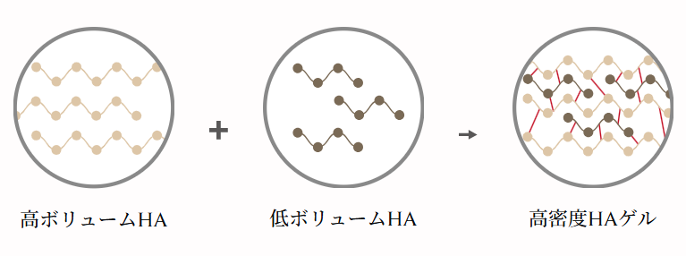 プリエール チューリップ