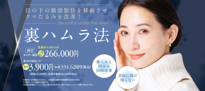 湘南_裏ハムラ法
