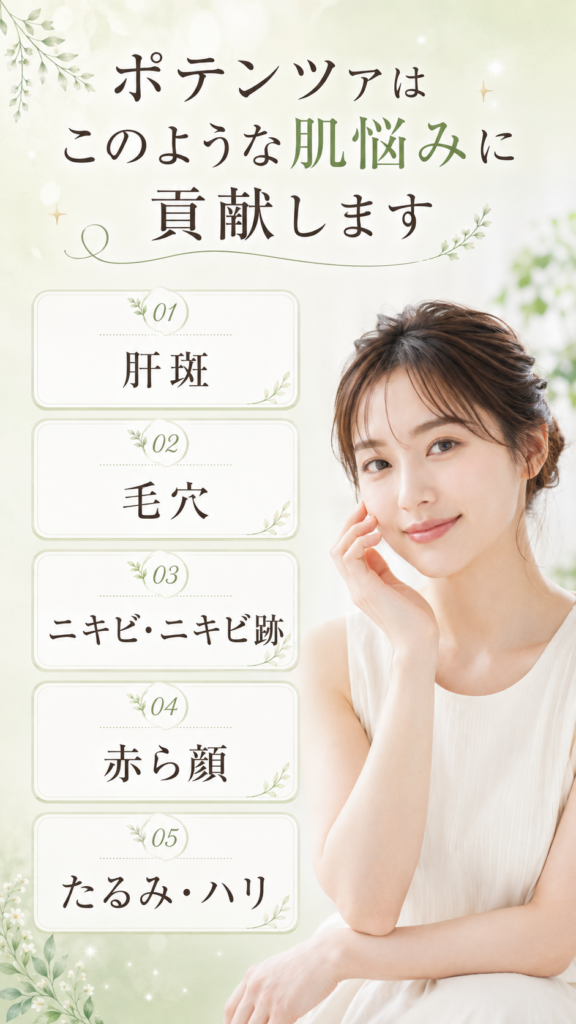 ポテンツァ 熊本